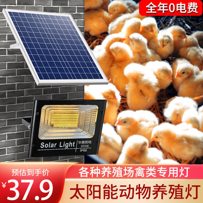 led太阳能暖光养殖投光灯