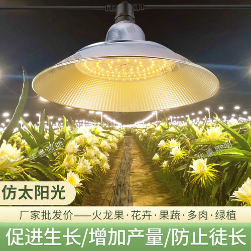 蔬菜室内草莓育苗花卉仿阳光灯