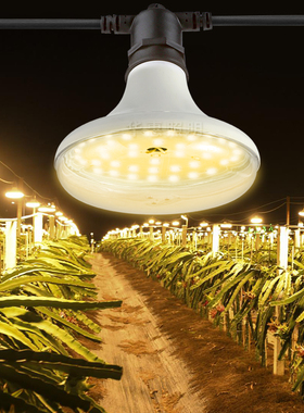 LED植物生长灯仿太阳光花卉绿植补光灯苔藓多肉火龙果菊花果蔬菜