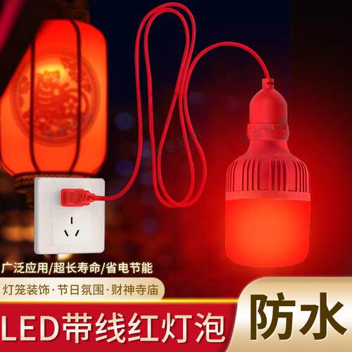 LED红色20W灯泡带2米防水灯头