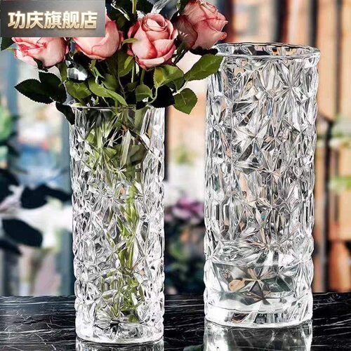 玻璃花瓶摆件客厅插花轻奢高级感水培鲜花水培富贵竹专用大号直筒
