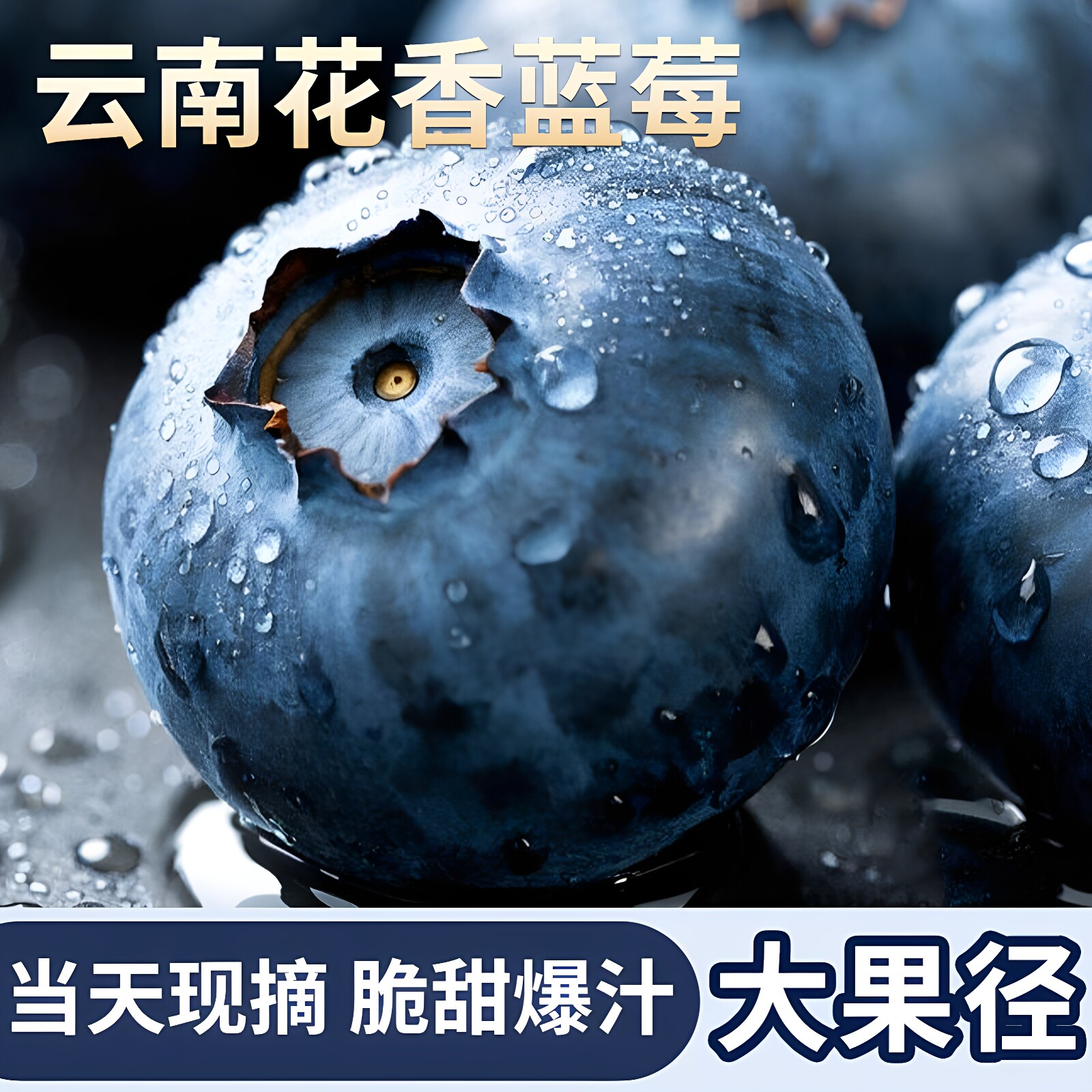 云南花香蓝莓现摘脆甜爆汁大果