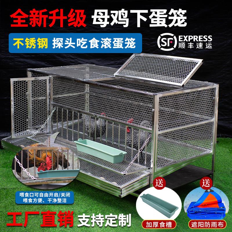 不锈钢自动出蛋大号滚蛋鸡笼防鸡啄蛋家用母鸡下蛋笼室外防黄鼠狼