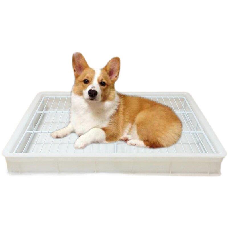 狗厕所用品,宠物厕所,中型和大型狗,金毛猎犬,大便制品,防踩