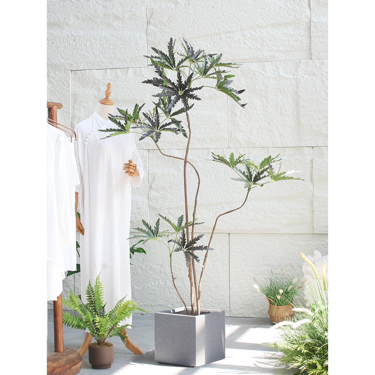 模拟植物孔雀木绿色植物盆栽屋安静风格室内客厅地板装饰民宿装饰