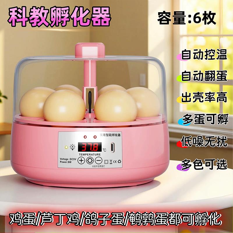 【儿童科教】家用全自动智能小型孵化器鸡芦丁鹌鹑鸽子小鸡孵蛋器