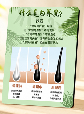 养发馆内科普展示摆件提升成交率