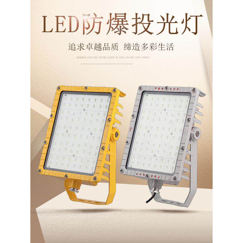 BFC8115 LED防爆投光灯泛光灯50w 150w 200w支架式安装防爆照明