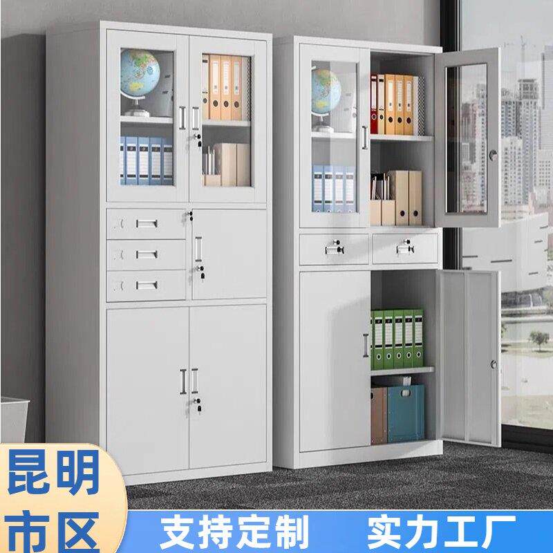 昆明文件柜办公室钢制资料柜档案凭证柜二抽矮柜收纳柜加厚铁皮柜
