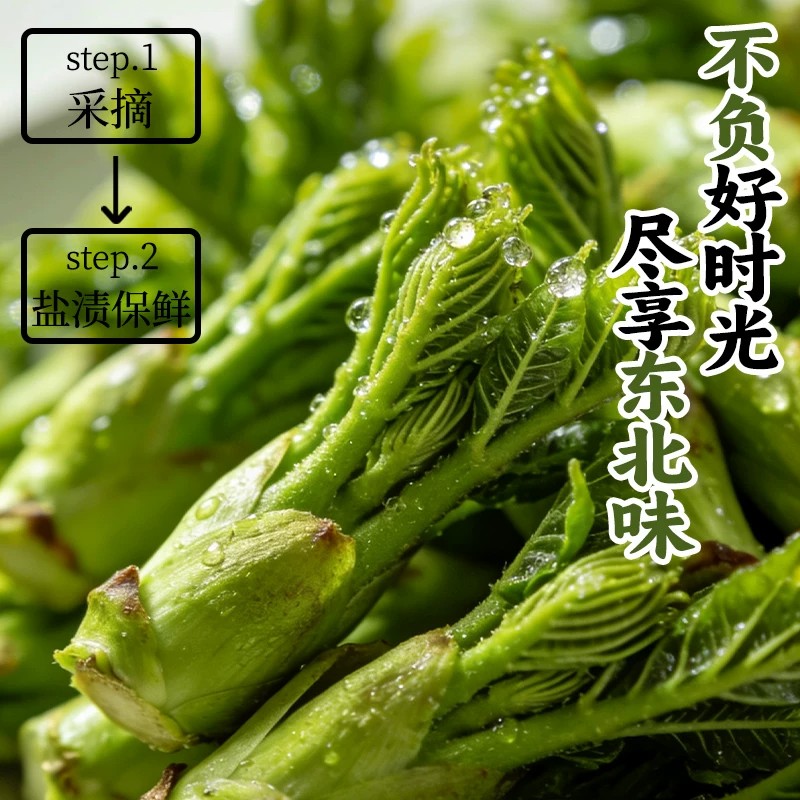 东北特产刺嫩芽2026新鲜头茬腌制/榨菜/泡菜