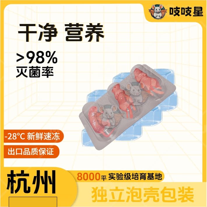 胶囊工艺冻体小白鼠高品质乳鼠饲料速冻锁鲜独立封装蛇类储存方便