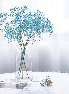 北欧极简c收口玻璃花瓶锥形直筒水培花瓶家居客厅餐厅装饰花瓶