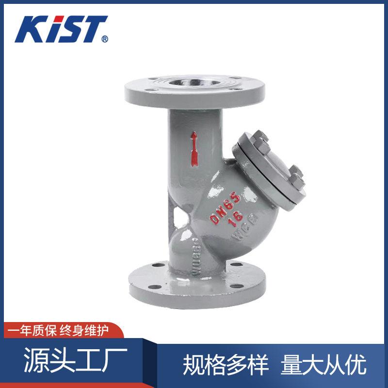 铸钢Y型过滤器WCB碳铸钢管道排污滤水器GL41H-16C法兰Y型过滤器