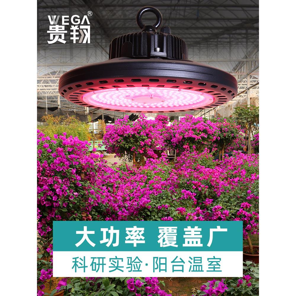桂香全光谱植物生长灯多肉补光家用飞碟型Led室内彷花阳光
