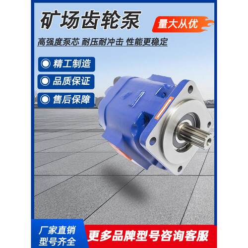 天津泊姆克齿轮泵P124系列单联双联三联泵型号齐全采煤机煤矿专用