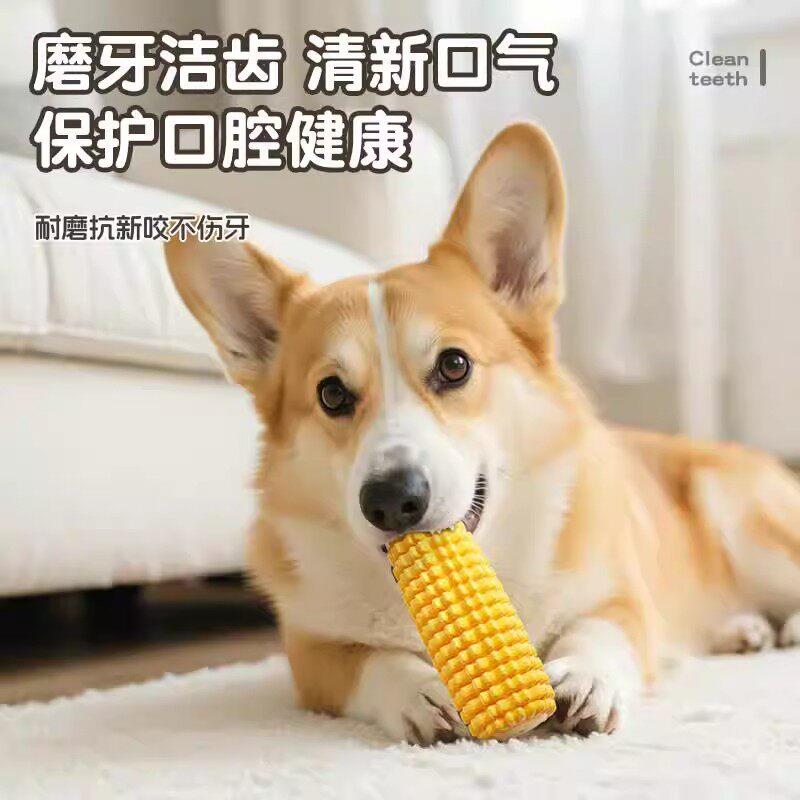 狗狗玩具宠物小狗耐咬自