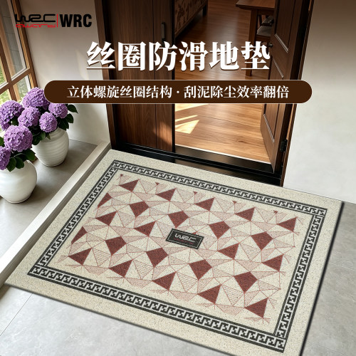 入户门地垫室内进门地毯丝圈款大门口门防滑耐用防水垫玄关脚垫
