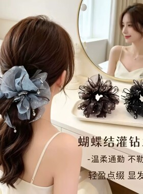 轻奢蝴蝶结满钻大肠发圈女2026新款高级感丸子头发绳发饰CL