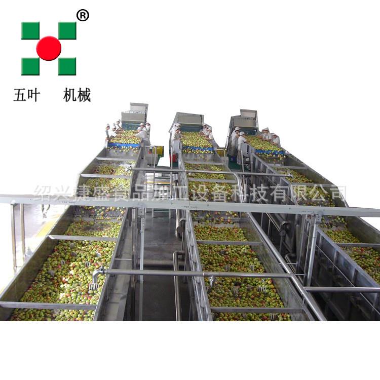 五叶捷胜果蔬加工生产线 菠萝加工线 冷冻菠萝块生产