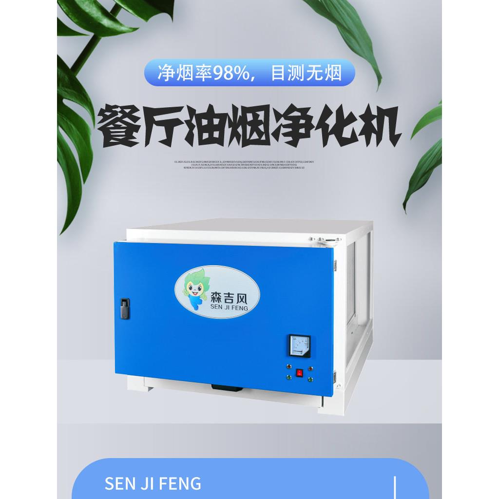 食堂厨房油烟净化设备 油烟处理系统 餐馆油雾净化器 工厂直销油