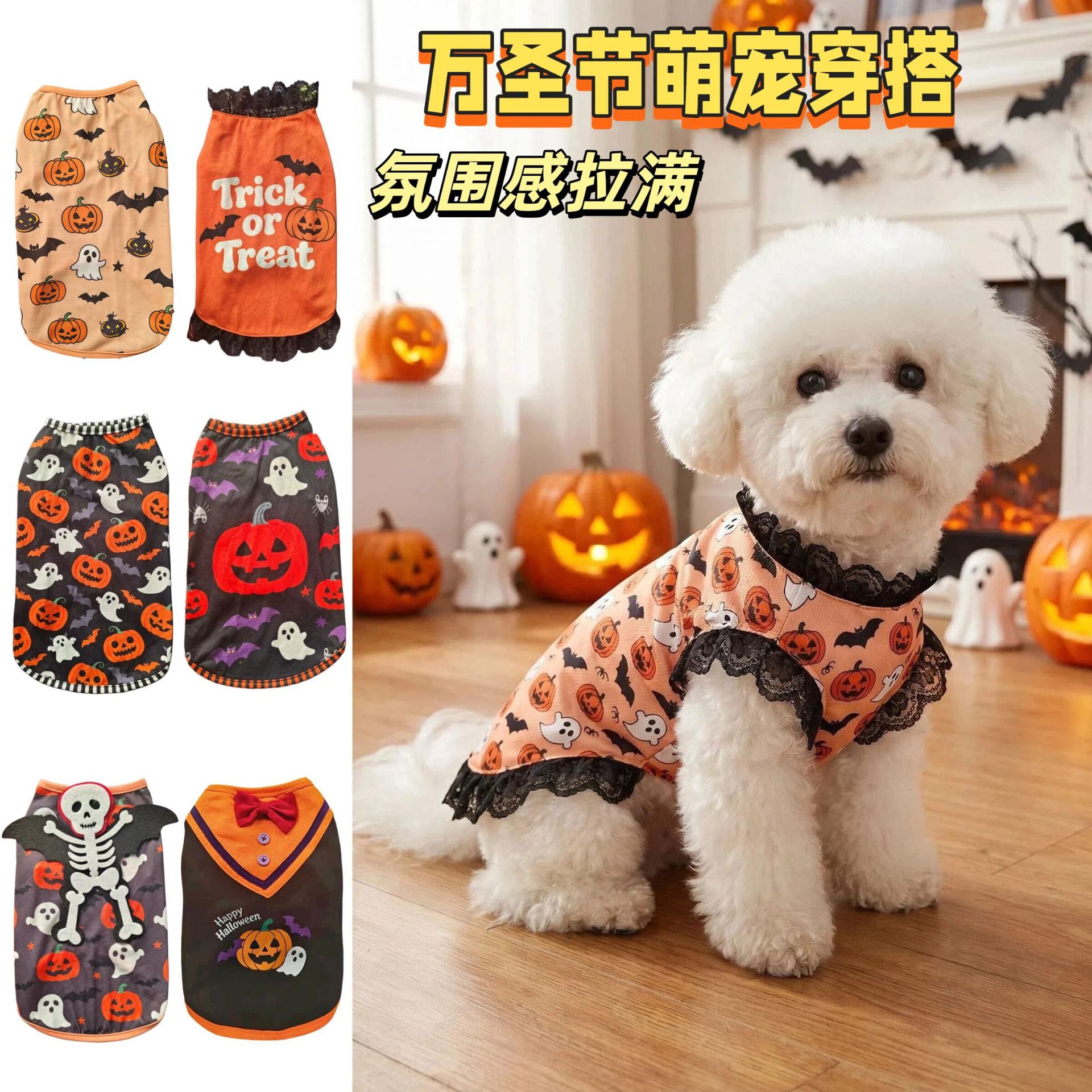 万圣节萌宠穿搭 搞怪南瓜蝙蝠印花 比熊泰迪小型犬节日衣服批发