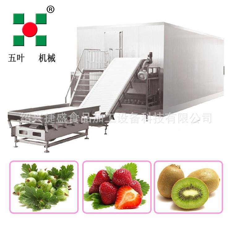 鸡头米，鸡米花，莲子冻机 不锈钢流态化速冻机厂家直销定制