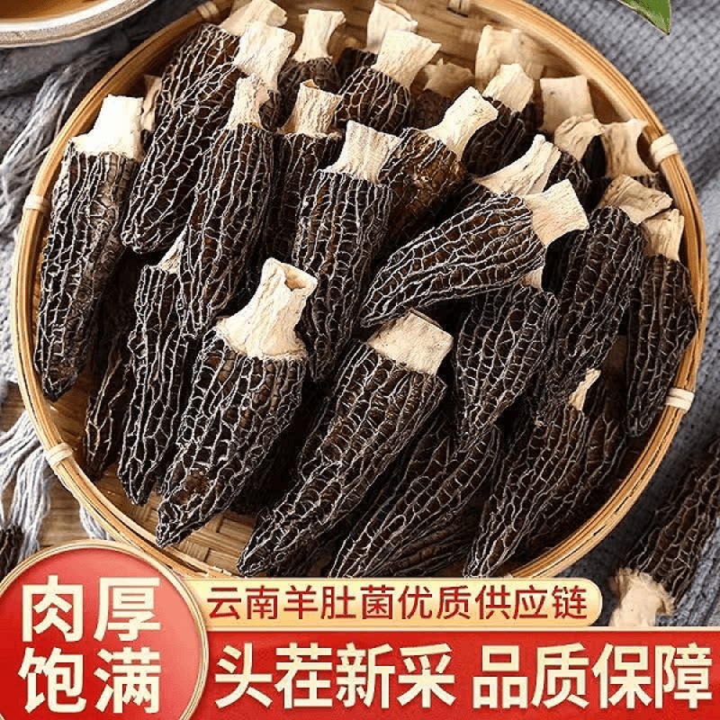 新货羊肚菌农家特产无熏无硫头