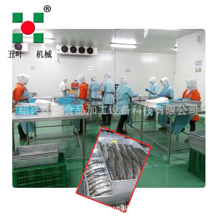 皮皮虾速冻机 虾仁速冻生产线 对虾速冻机 海产品速冻流水线