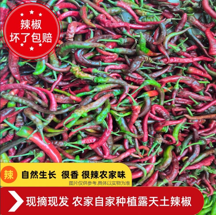 湖南正宗老品种农家自种露天辣椒新鲜现摘薄皮香辣土辣椒小勾椒