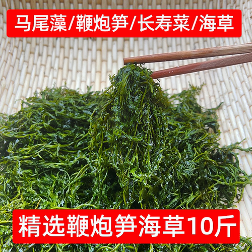 识蜀记精选鞭炮笋海草10斤一箱嫩海藻餐饮店凉卤火锅专用烫煮食材