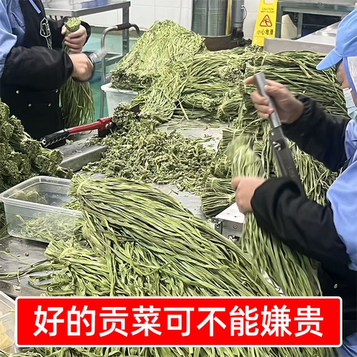 识蜀记精选农家贡菜干商用一箱1斤8斤云南贡菜火锅曹氏辣卤凉拌菜