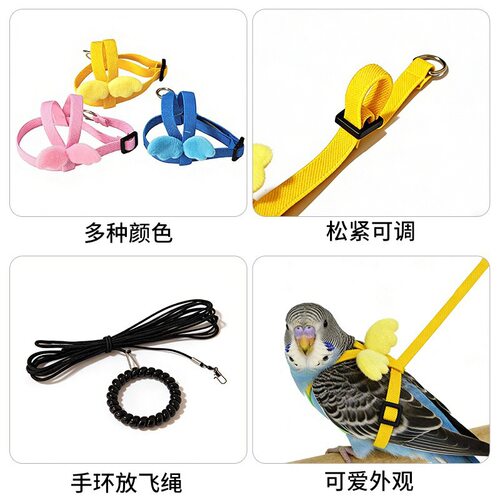 鹦鹉胸背放飞牵引绳可调防逃脱