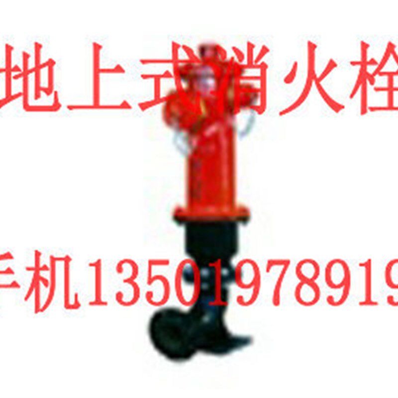 上海消防 自闭式 锁性 地上式消火栓 DN100