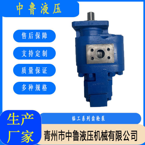 临工系列齿轮泵 4120008857 双联系列 运行稳定
