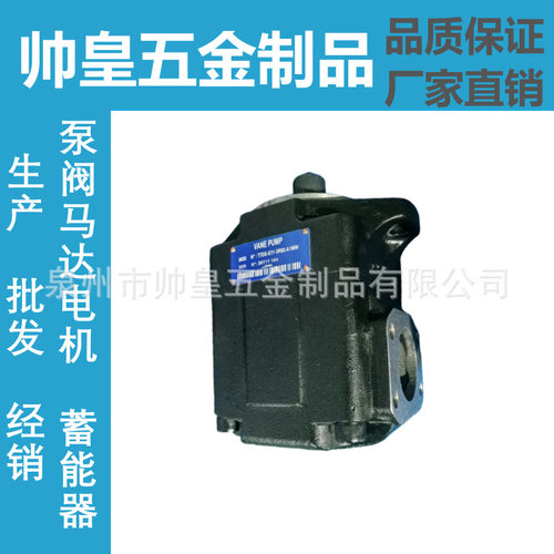 丹尼逊液压油泵T7DS-E31-3R02-A1MW叶片泵T7EDS/T7DDS E42 E38 1R
