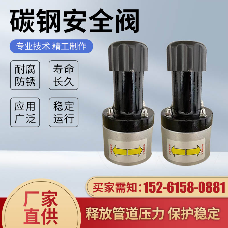 碳钢钢安全阀背压阀DN15 20 25 32单向泄压阀计量泵专用