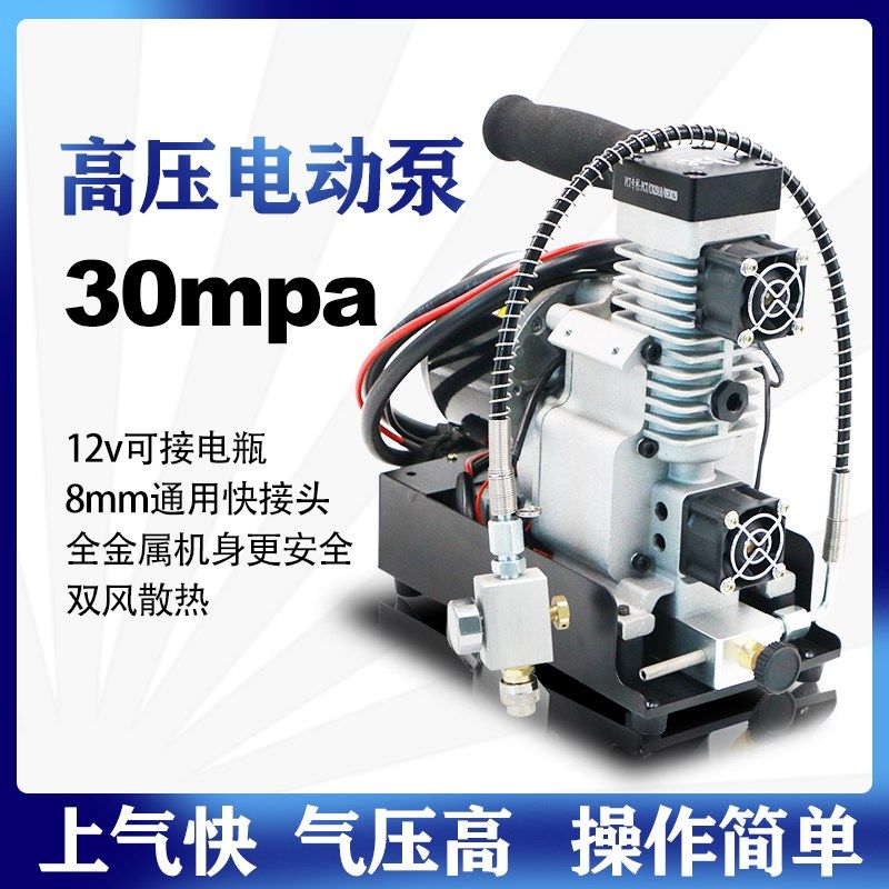 电动打气机220v高压充气泵单缸30mpa4500psi车载充气泵家用潜水瓶