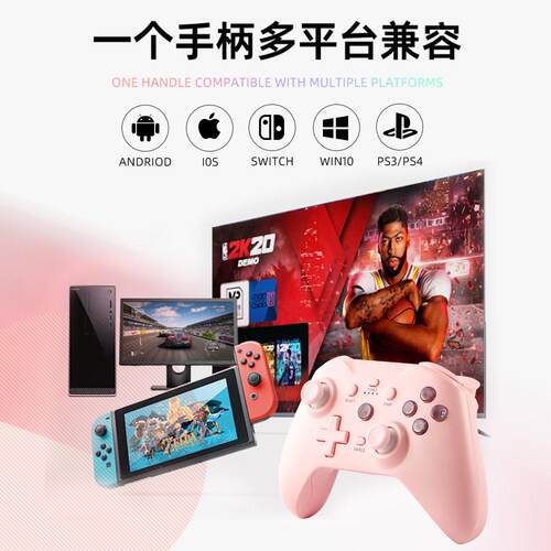 NS21游戏手柄私模switch游戏手柄支持安卓/ios/pc电脑/P3游戏手柄
