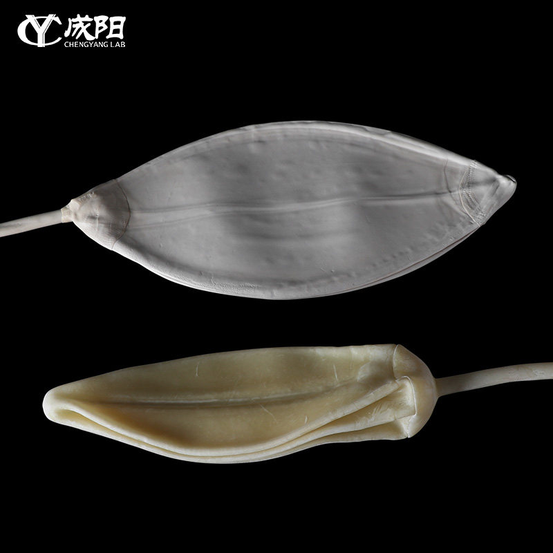 实验用球胆气体采样气囊乳胶/橡胶加厚密封好进样袋鸥弹性化学用图片