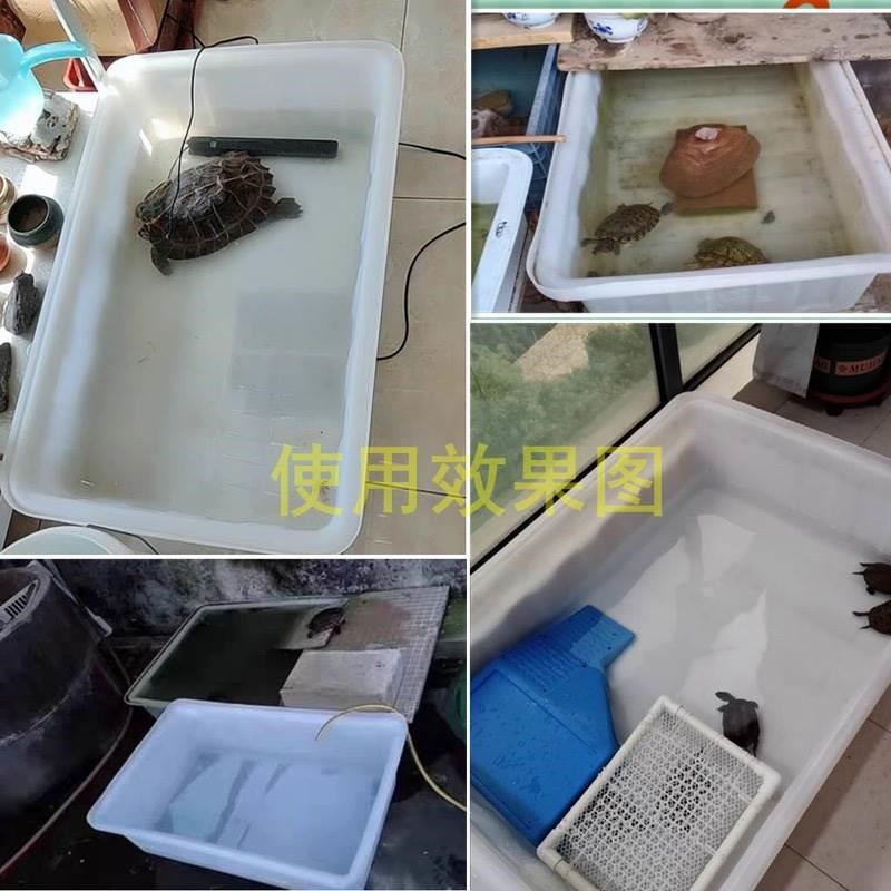 槽熟食盆洗菜盆洗澡盆牛筋鱼虾养龟盆塑料浅水方盆加厚大号养殖水