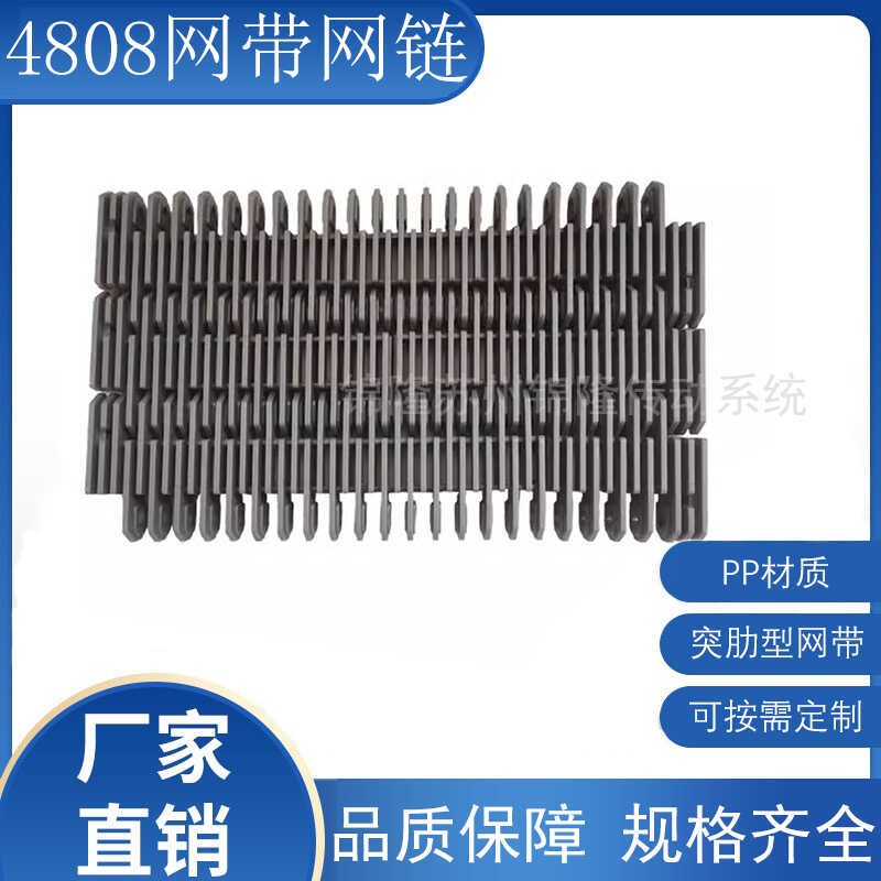 4808网带输送机节距50.8食品烘干流水线耐高温塑料链板传送输送带