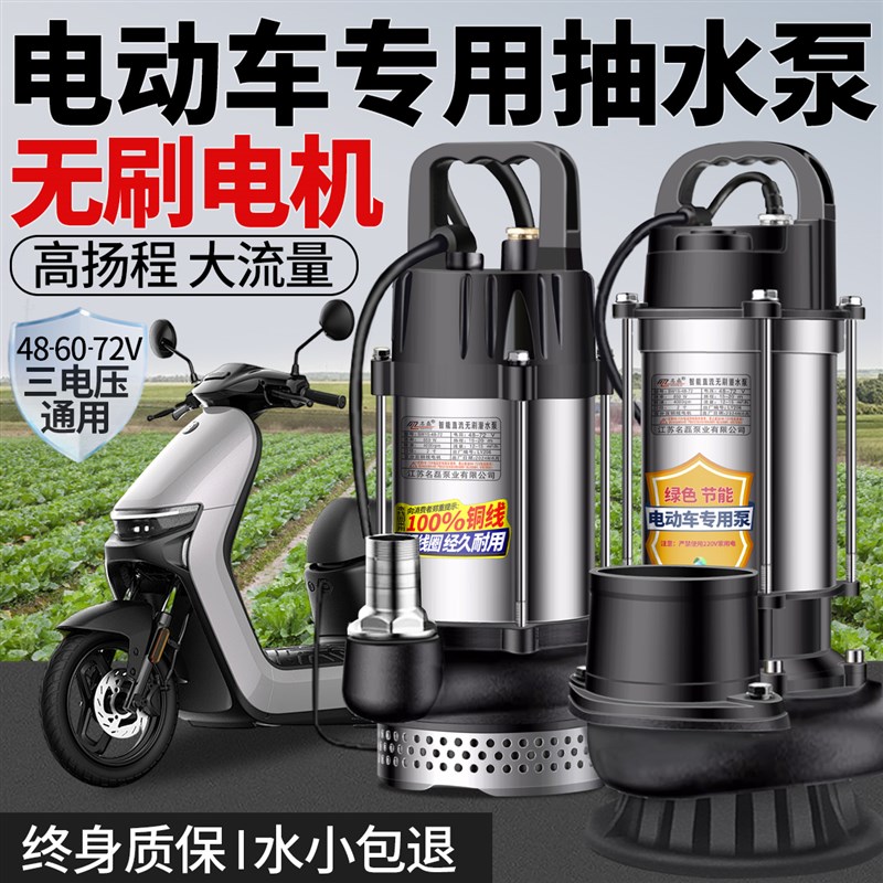 电动车专用抽水泵电动车无刷直流潜水泵48v60v72v浇菜农用灌溉机