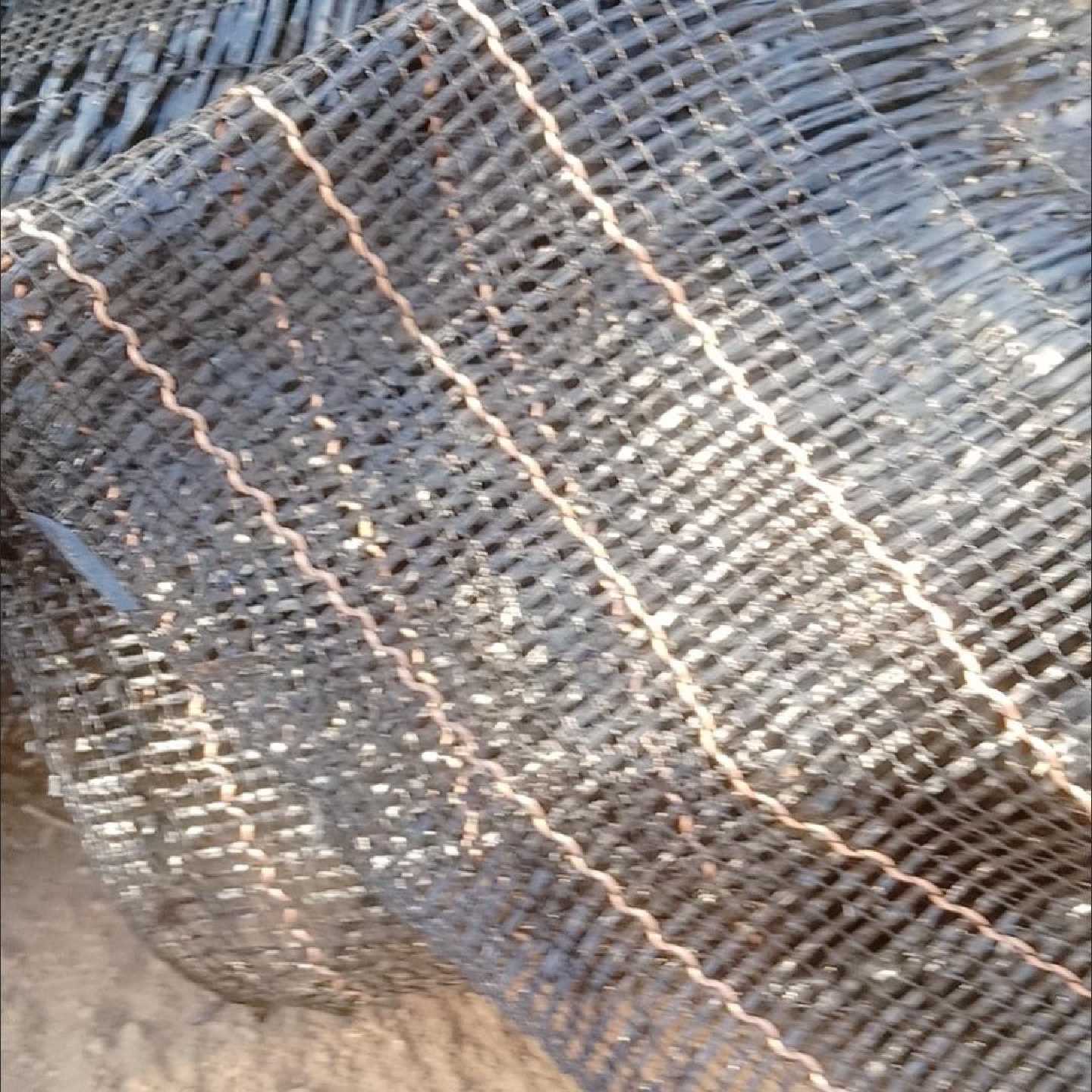 【抗老化】平织大棚网平针黑色遮阳网遮阳布大姜生姜大棚育苗多肉