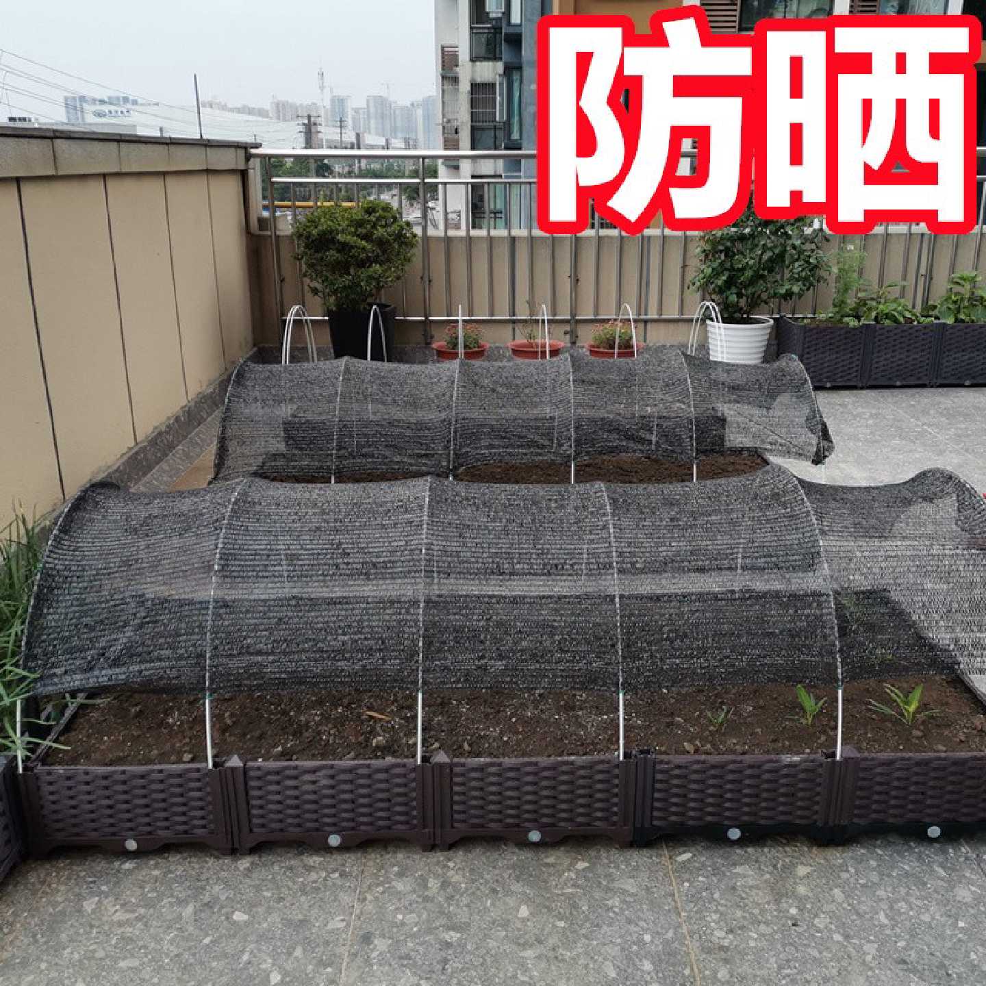 菜地遮阳网菜地 蔬菜遮阳网 种菜遮阳网种菜园棚太阳农用的防晒网