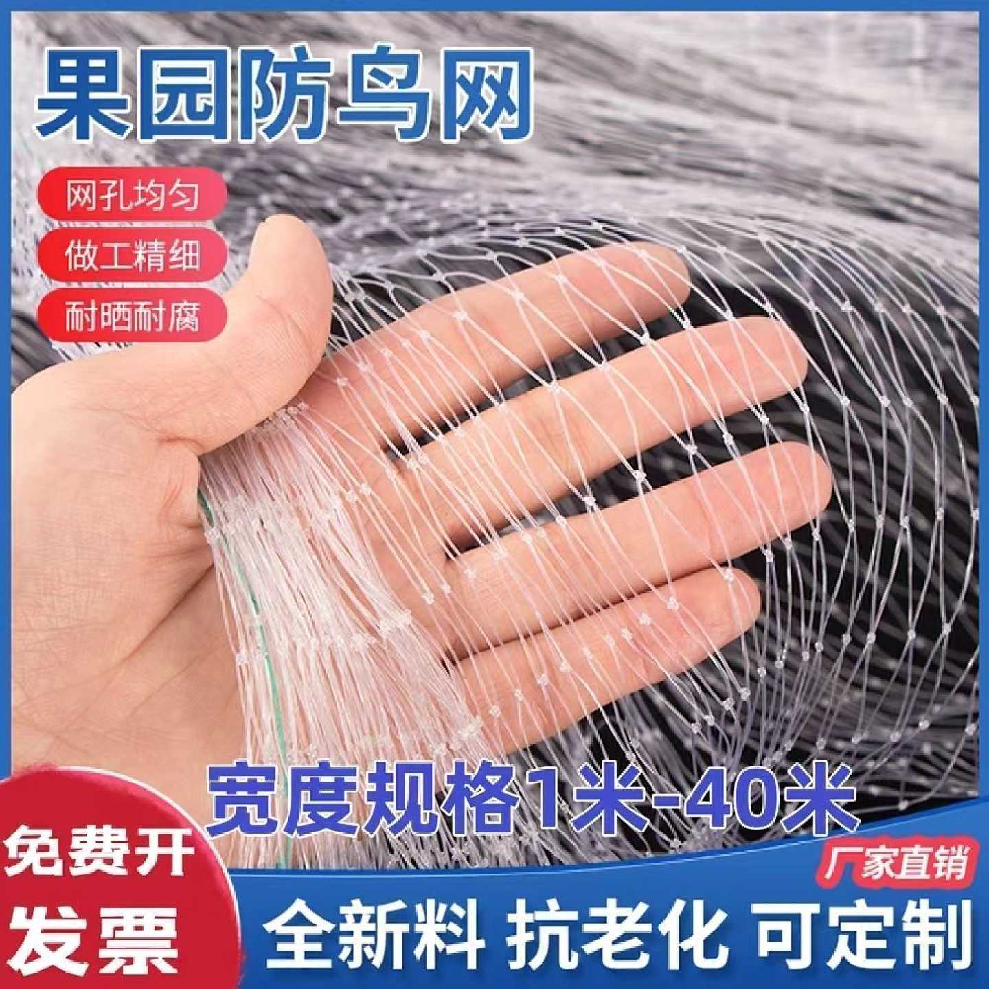 农用尼龙防鸟网防护隔离偷吃葡萄稻谷果树果园养殖鱼塘农田阳台