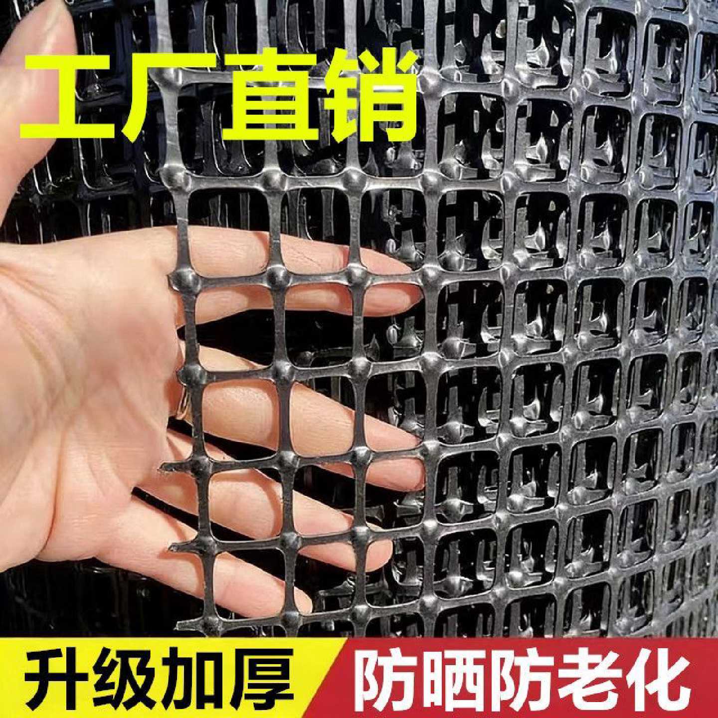 塑料围栏网养鸡网养殖网玉米网塑料网果园围栏防护网新款鸡网超厚