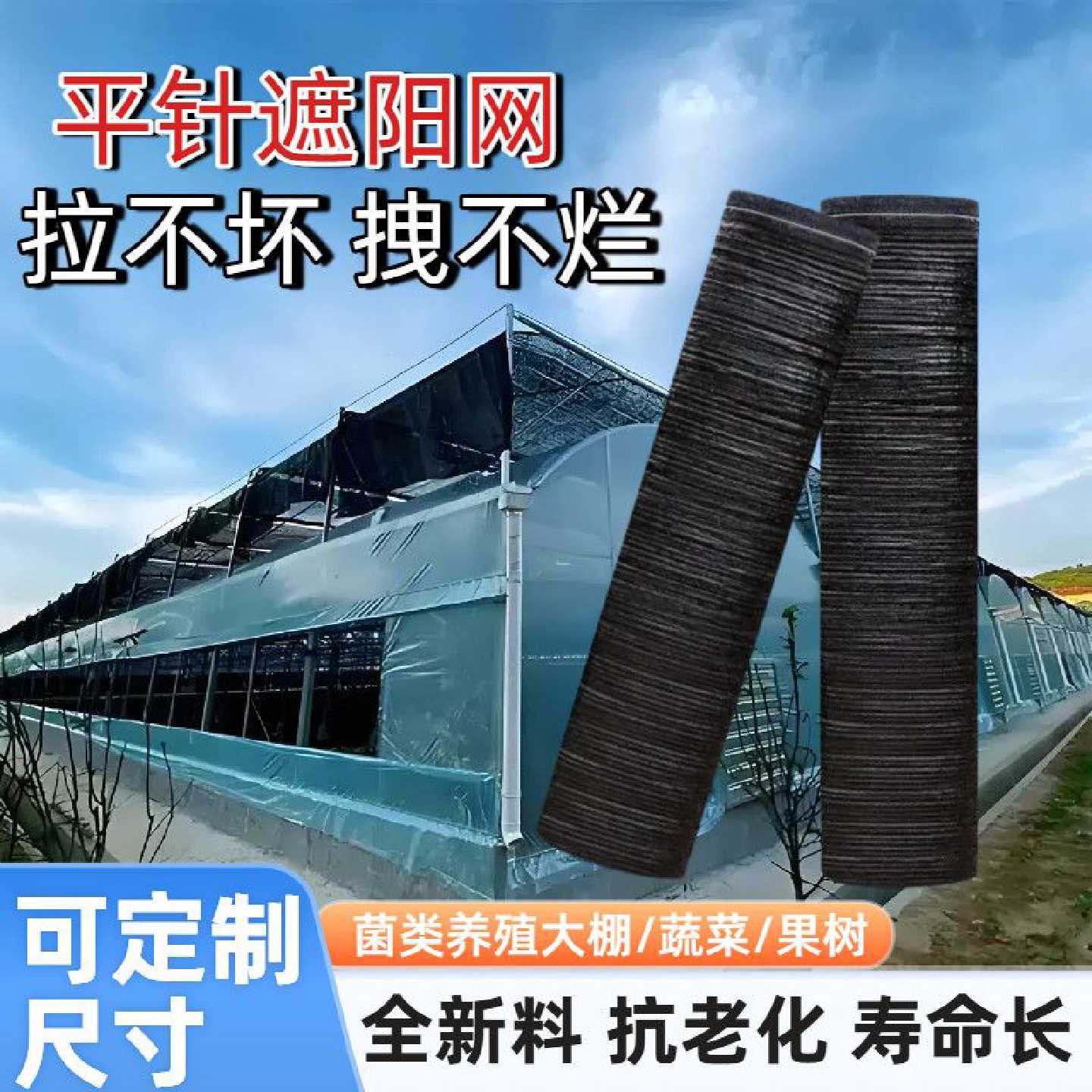 抗老化平针遮阳网加密款大姜羊肚菌专用防晒遮光蔬菜大棚遮阴隔热