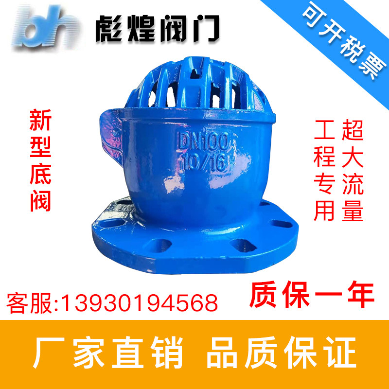 H42X 10 16新型底阀 水泵吸水铸铁底阀DN50 80 100 150 200