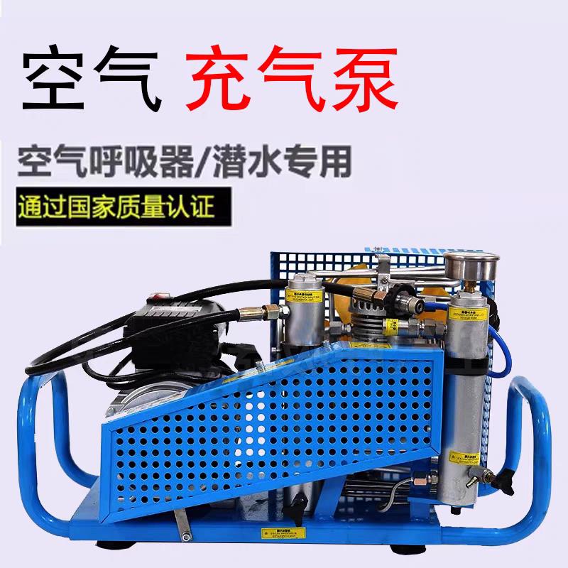 正压式空气呼吸器充气泵空气压缩机潜水呼吸器高压气瓶30MP填充泵