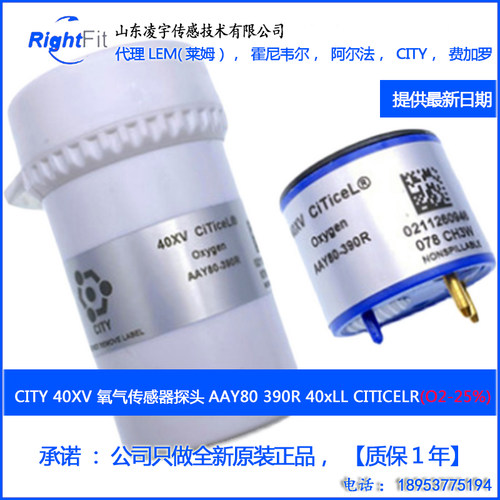 CITY英国4OXV氧气O2感测器AAY80-390R-BW仪4OXLL表SR-X2V, 4O2-GP